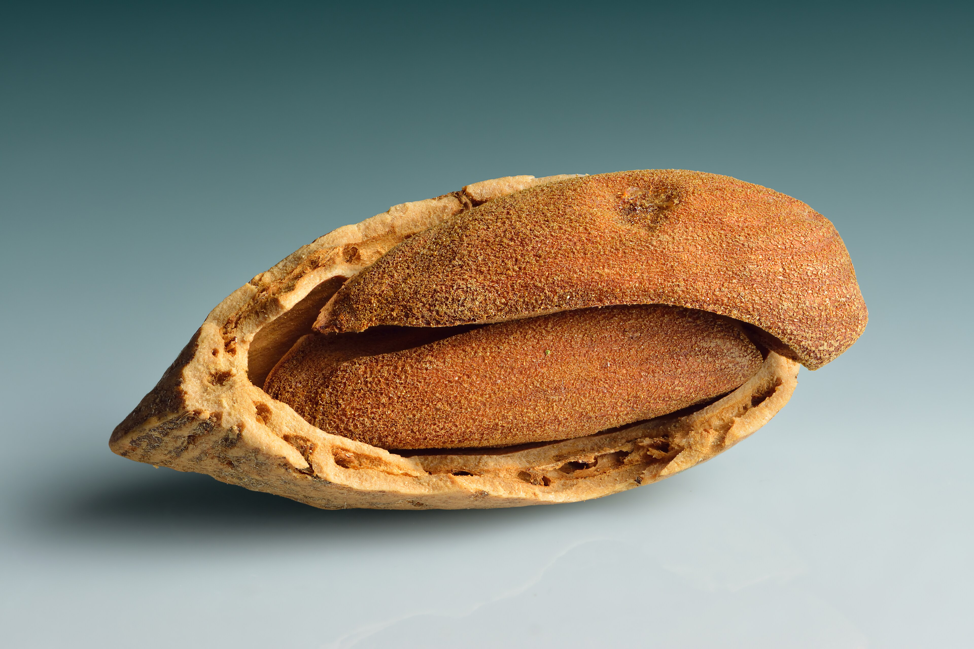 Almonds