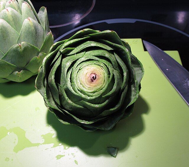 Artichoke, Globe