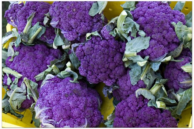 Broccoli (purple)