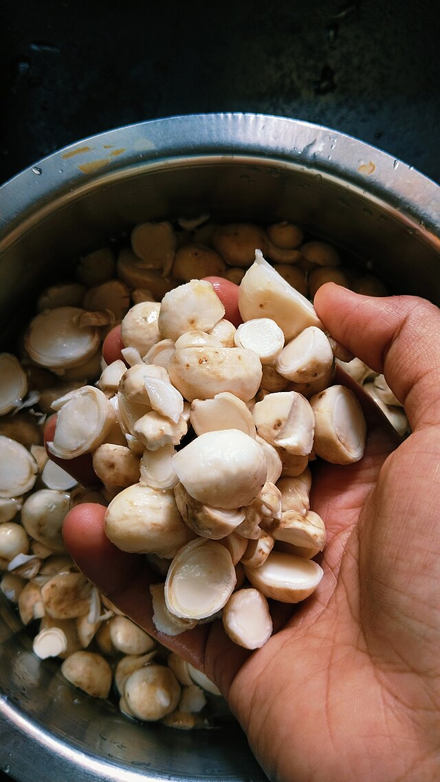 Mushrooms