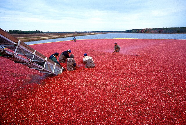 Cranberries