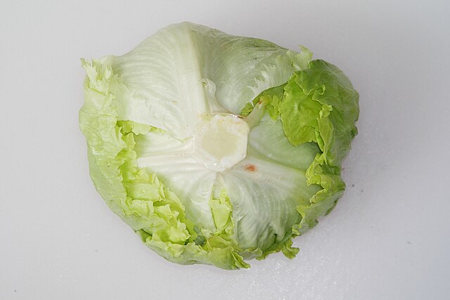 Lettuce