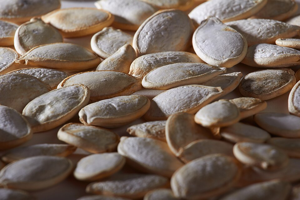 Pumpkin Seeds