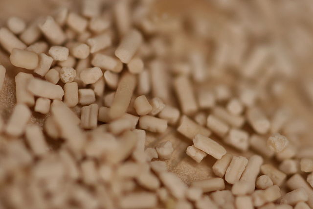 Yeast, dried