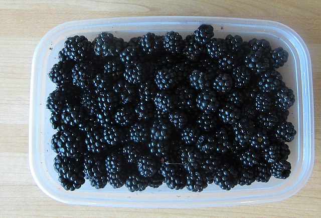 Blackberries