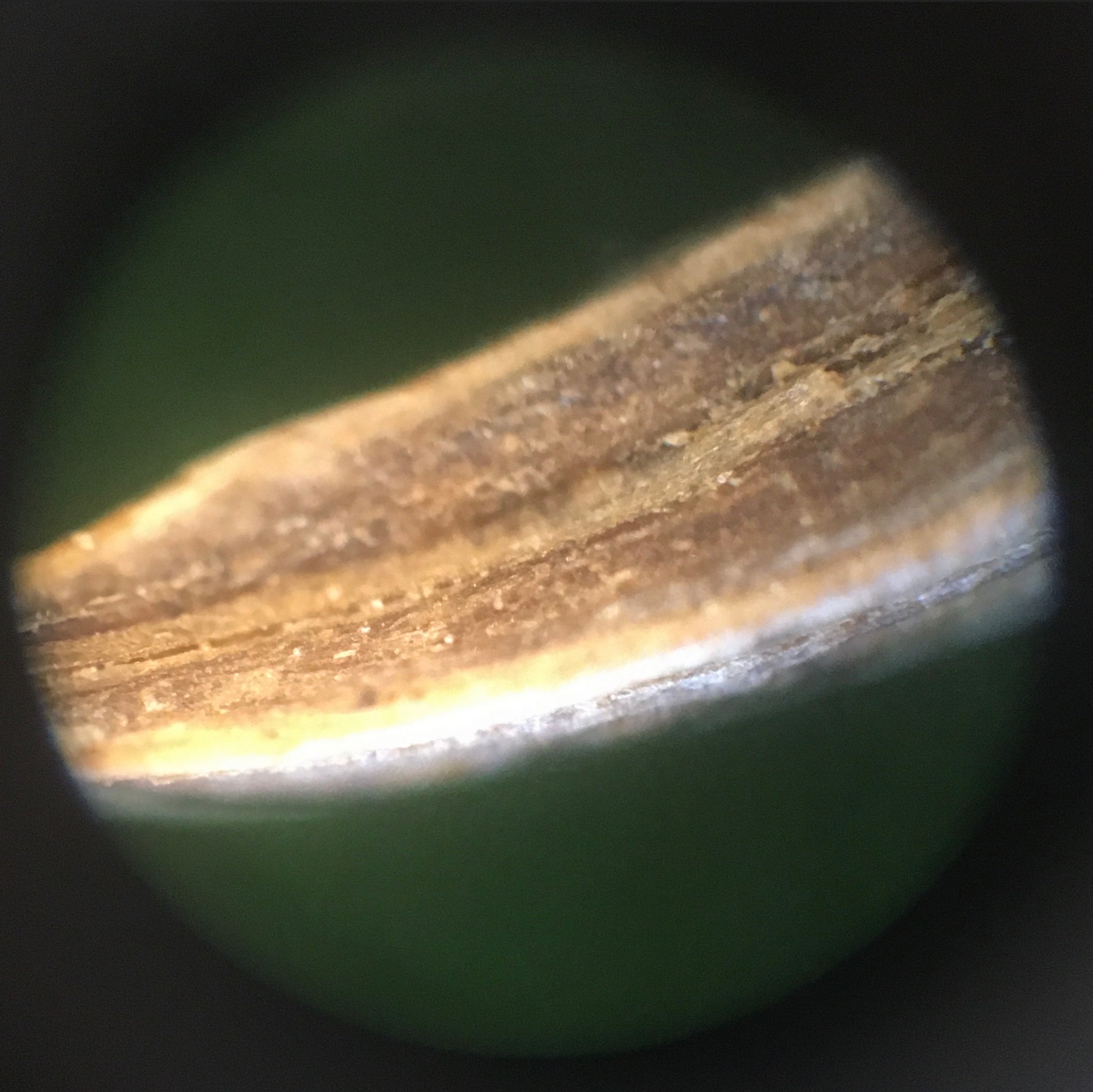 Caraway seeds