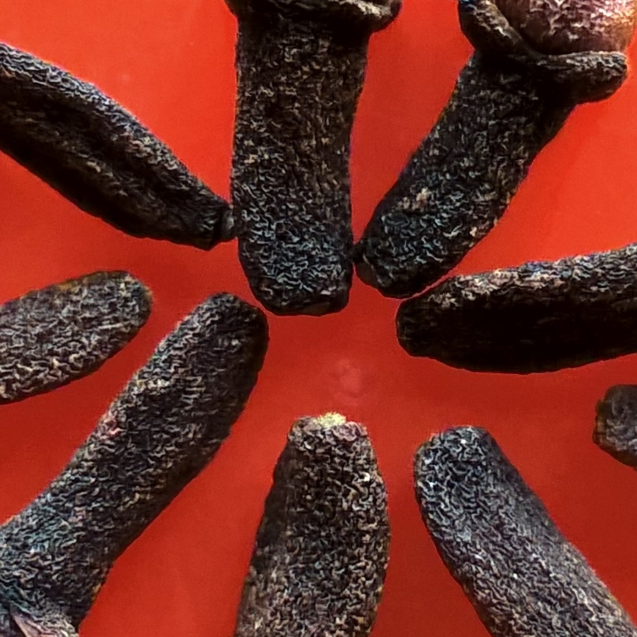 Cloves, dried