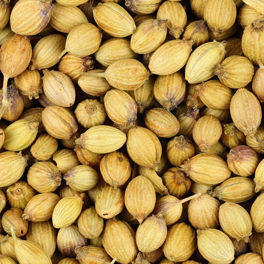 Coriander seeds