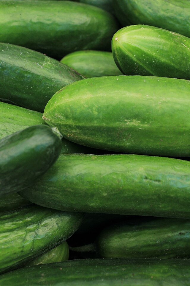 Cucumber