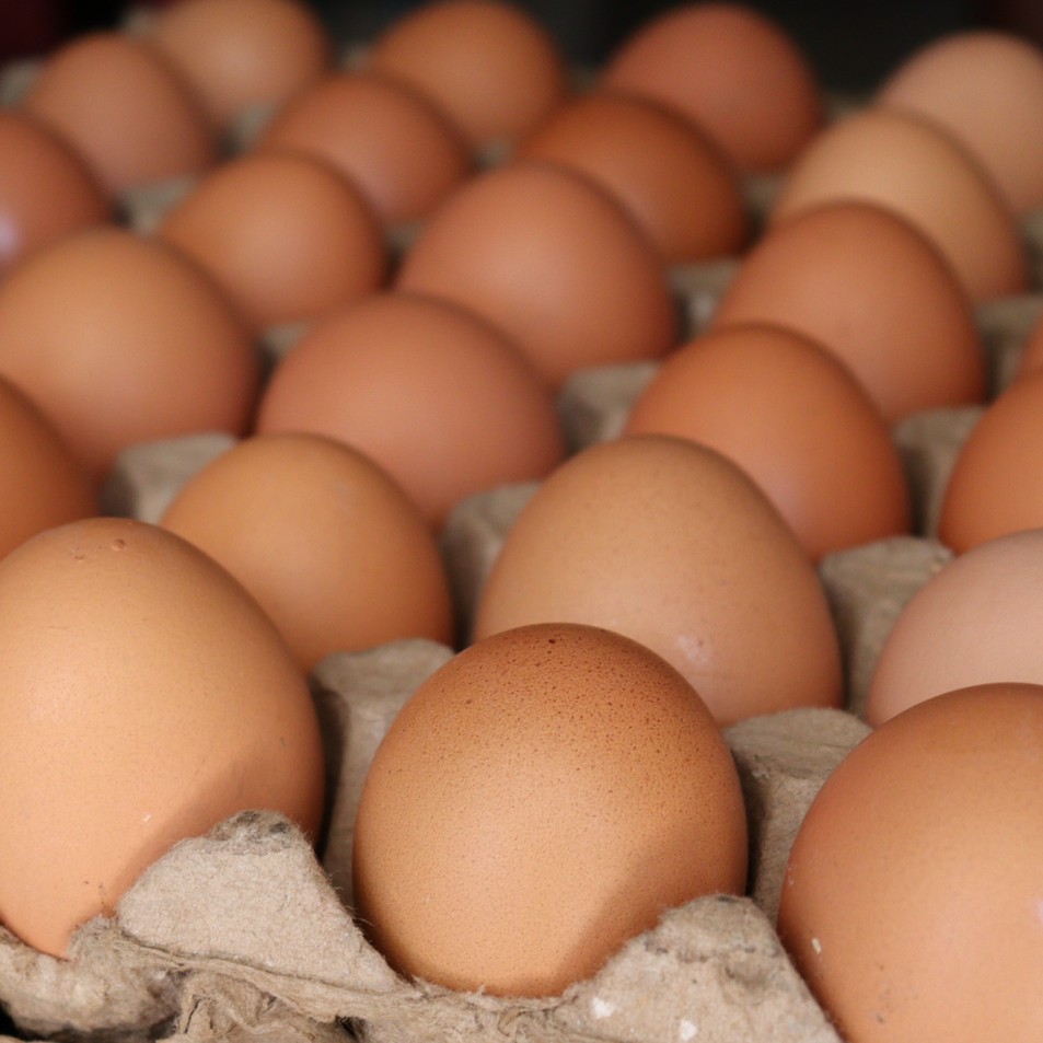 Eggs, chicken, whole, boiled