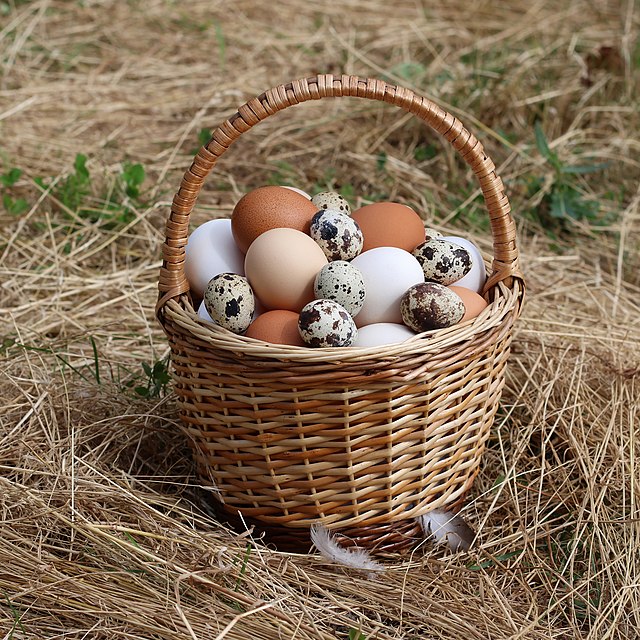 Eggs