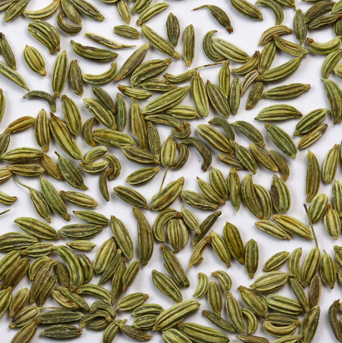 Fennel seeds