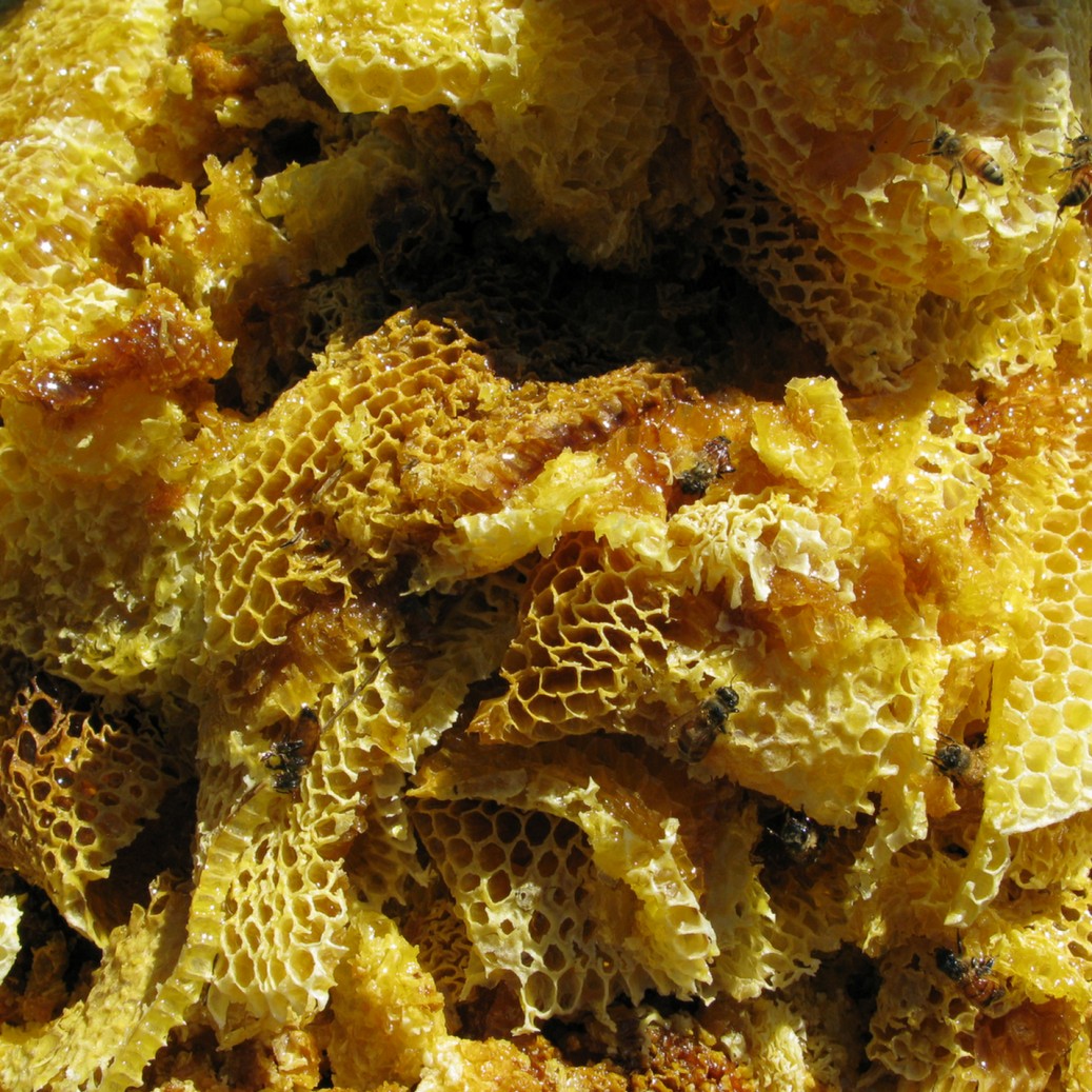 Honey