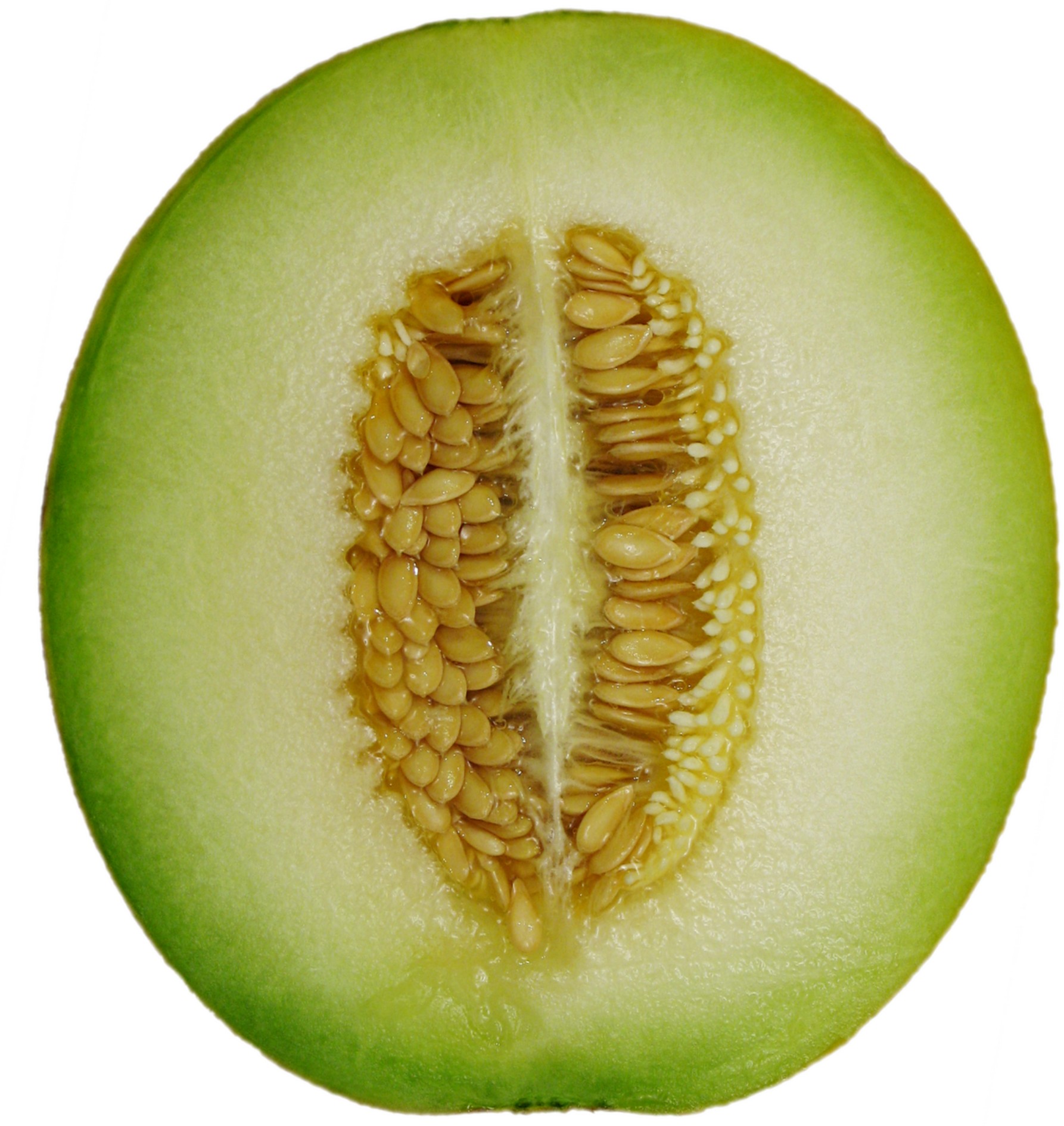 Melon