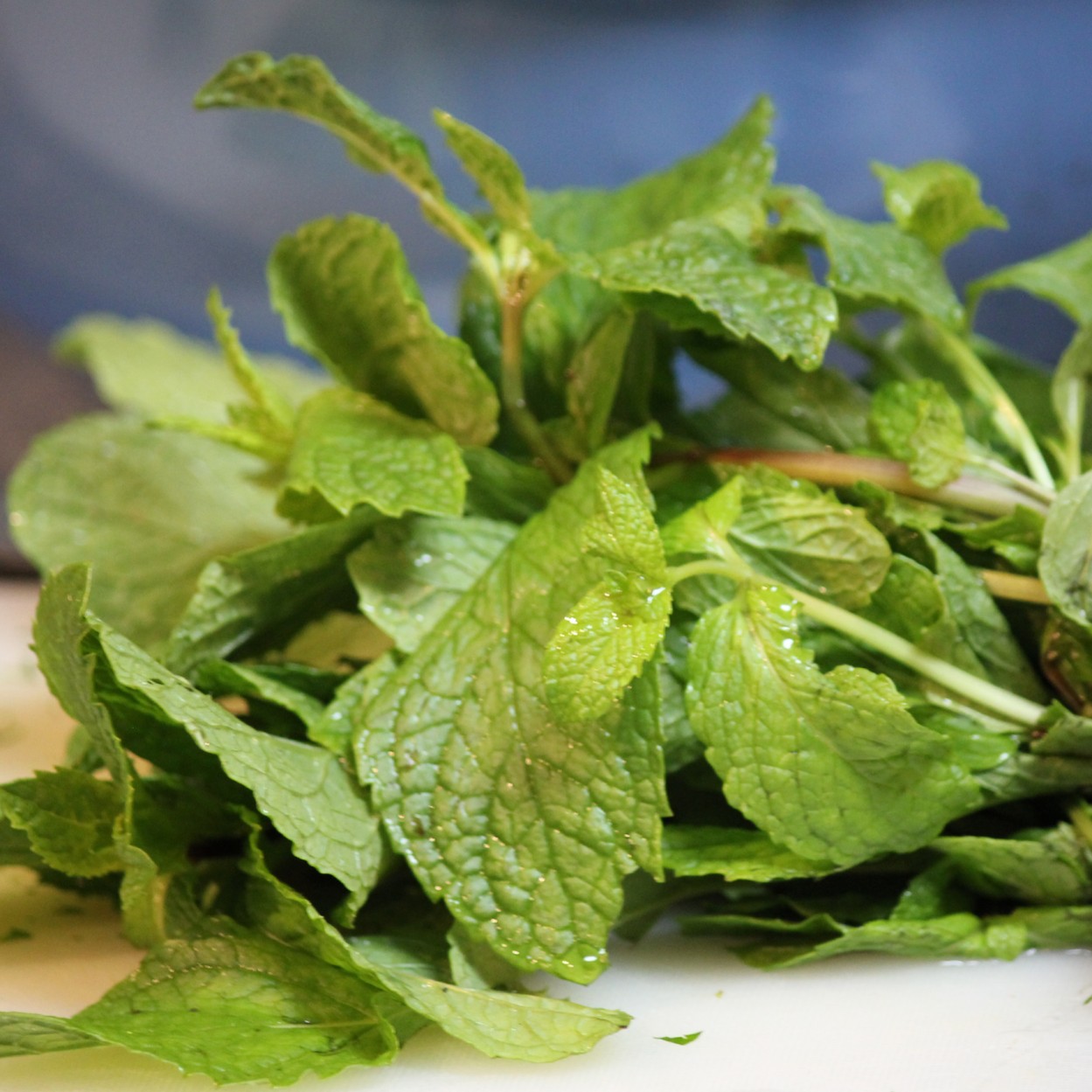 Mint, fresh