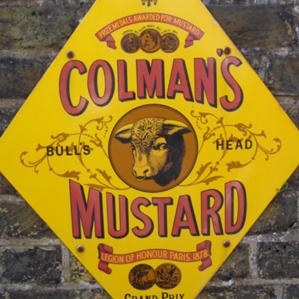 Mustard powder