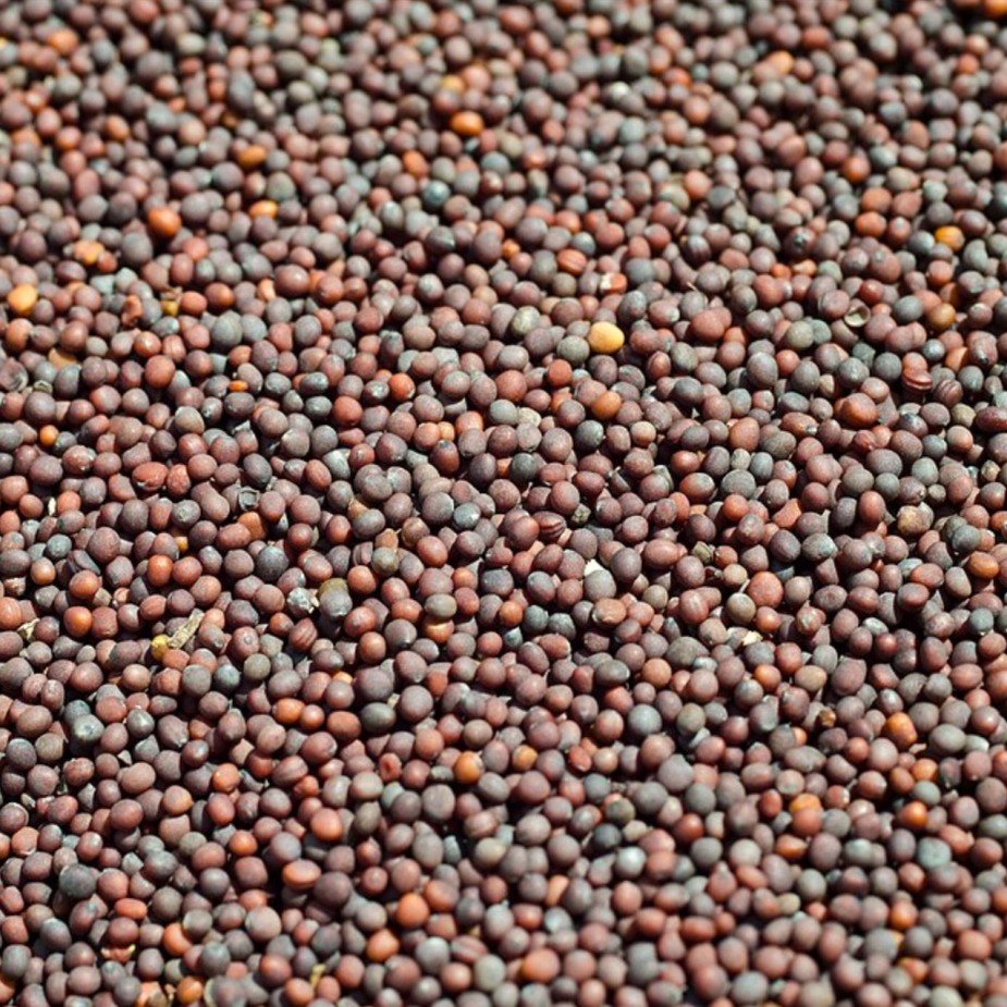 Mustard seeds