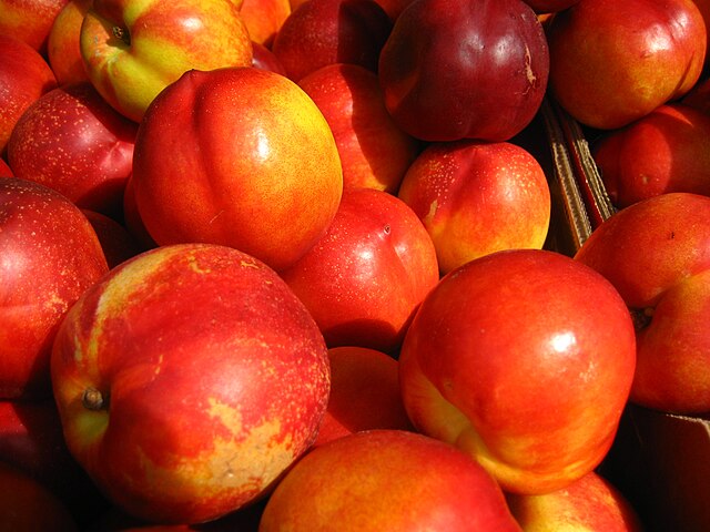 Nectarines