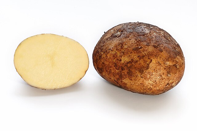 New Potato