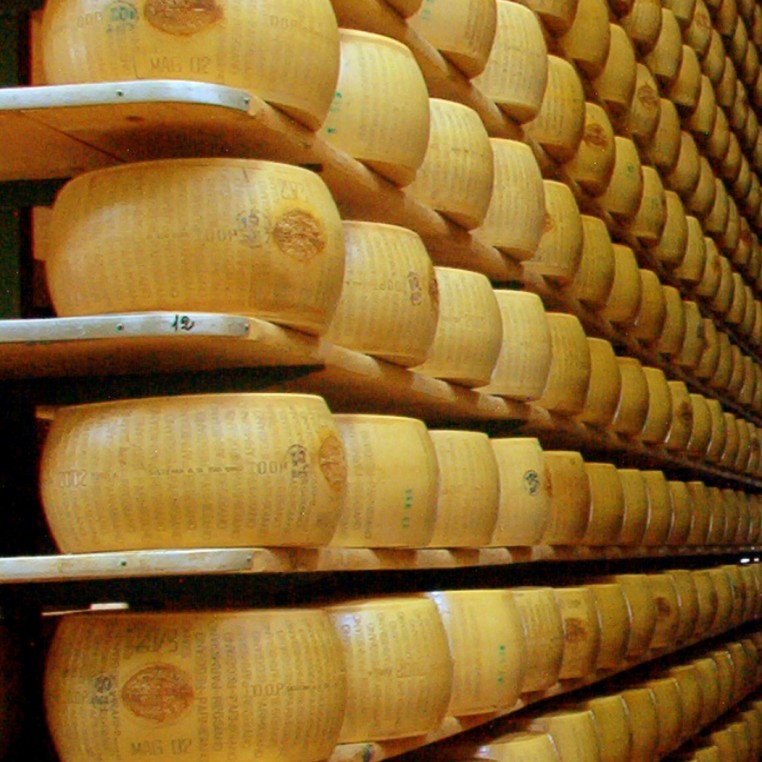Cheese, Parmesan, fresh
