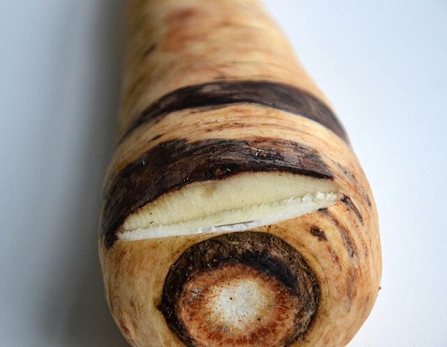Parsnip