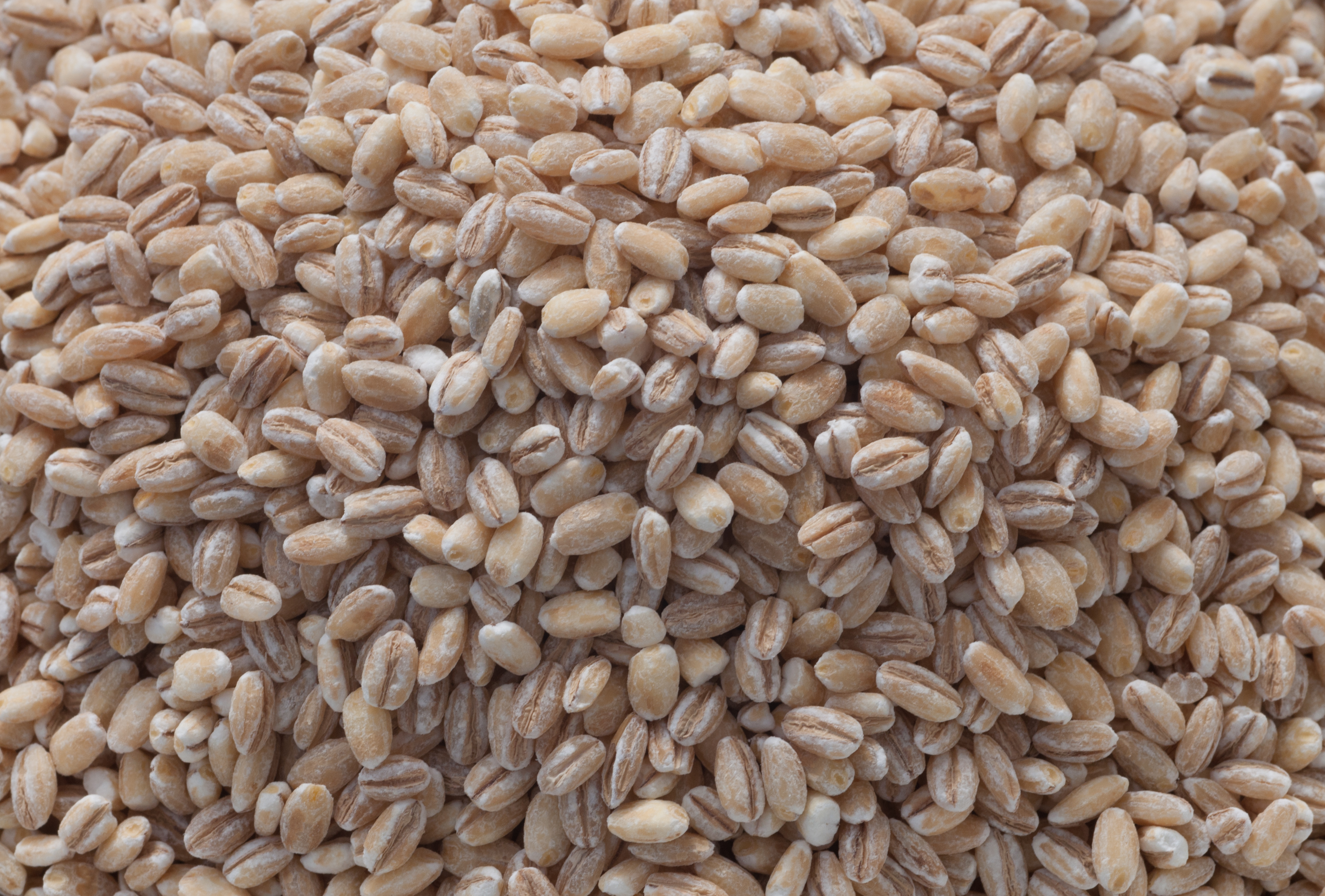 Pearl Barley