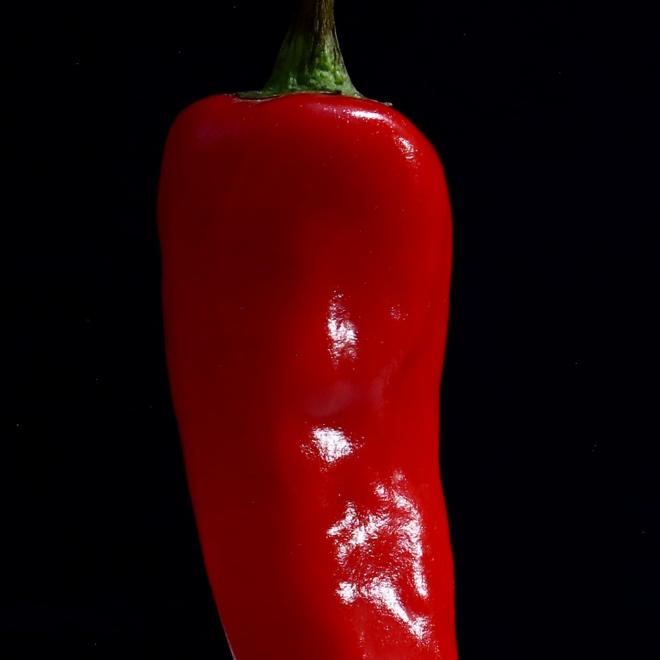 Red Chillies