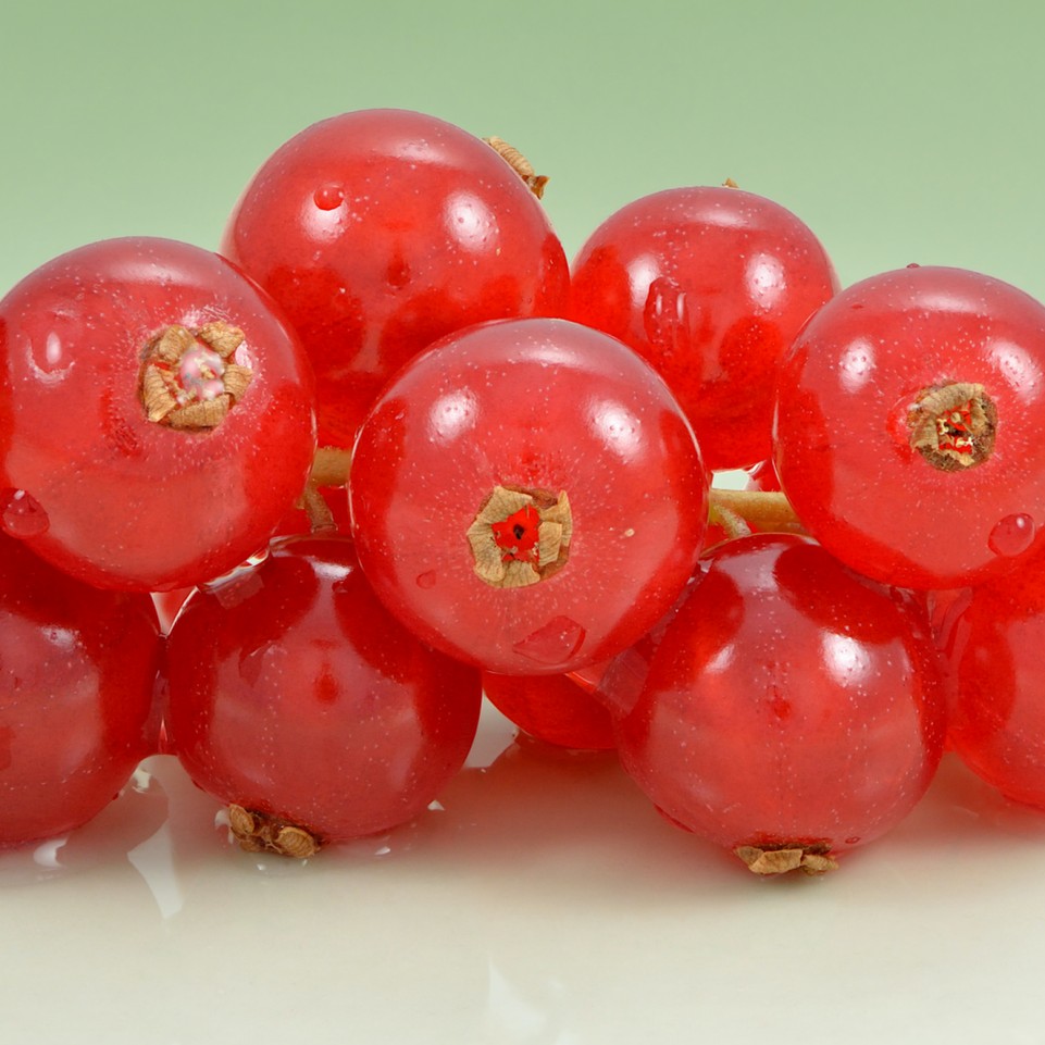 Redcurrants