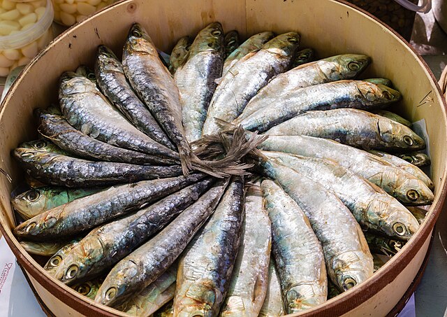 Sardines