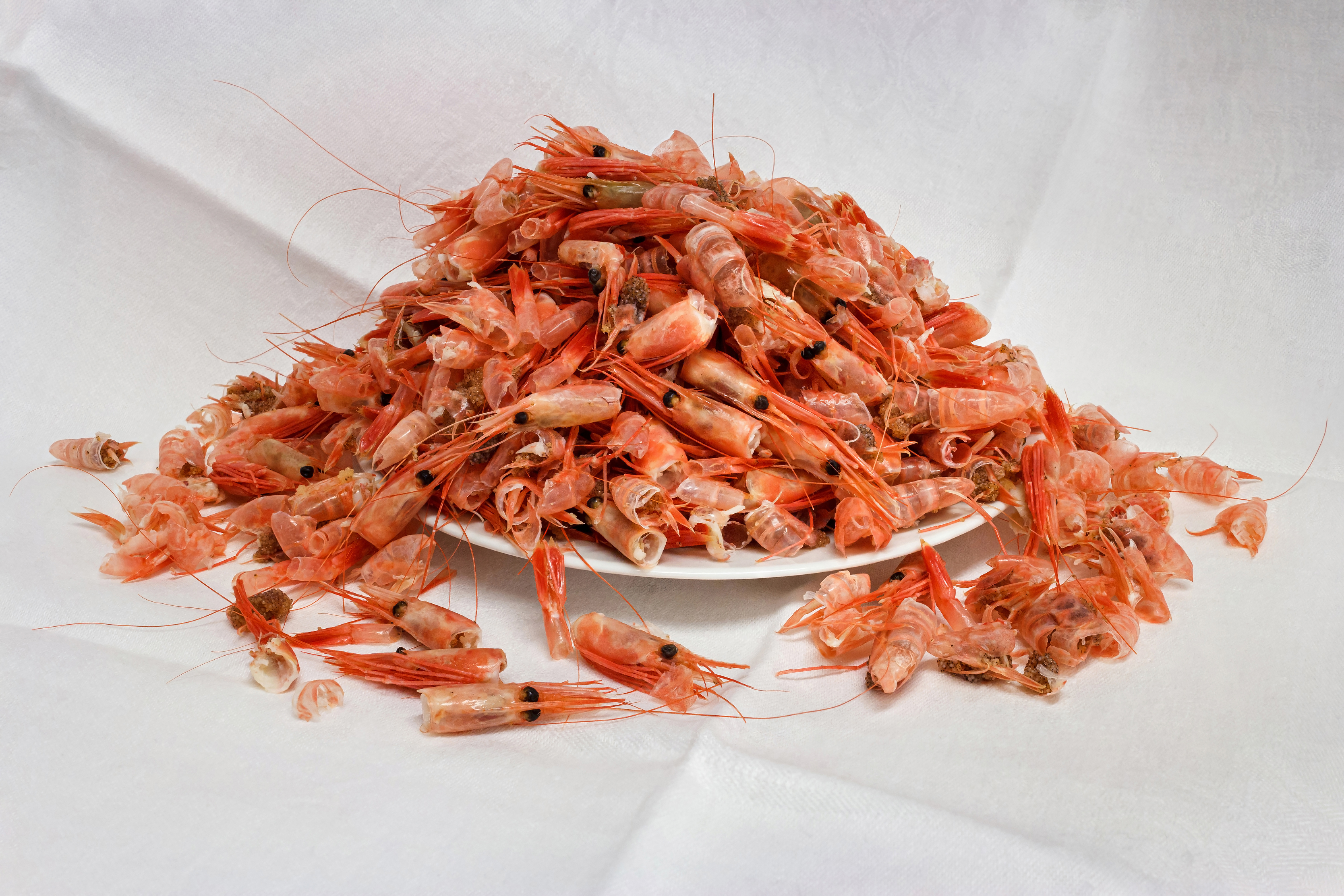 Shrimp