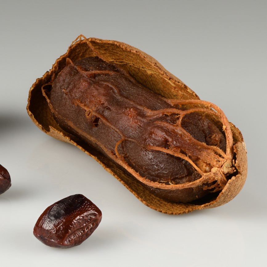 Tamarind