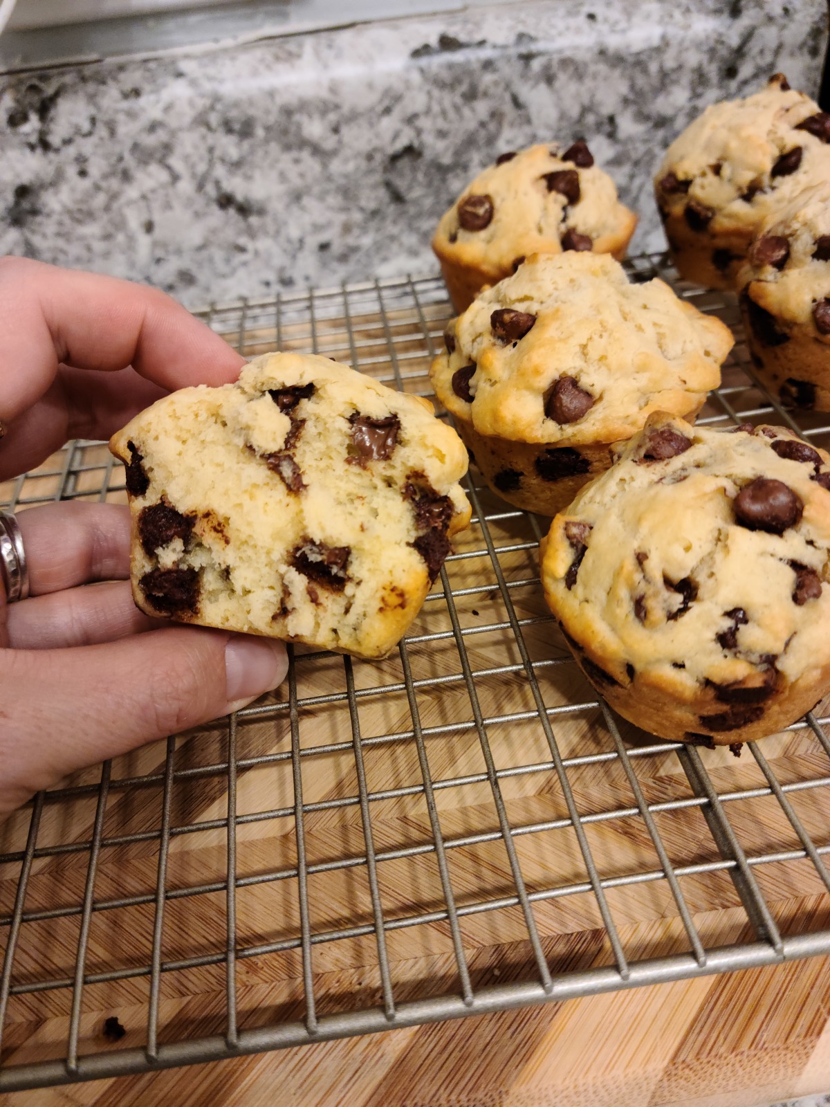 Versitile Muffins Batter - Dairy Free