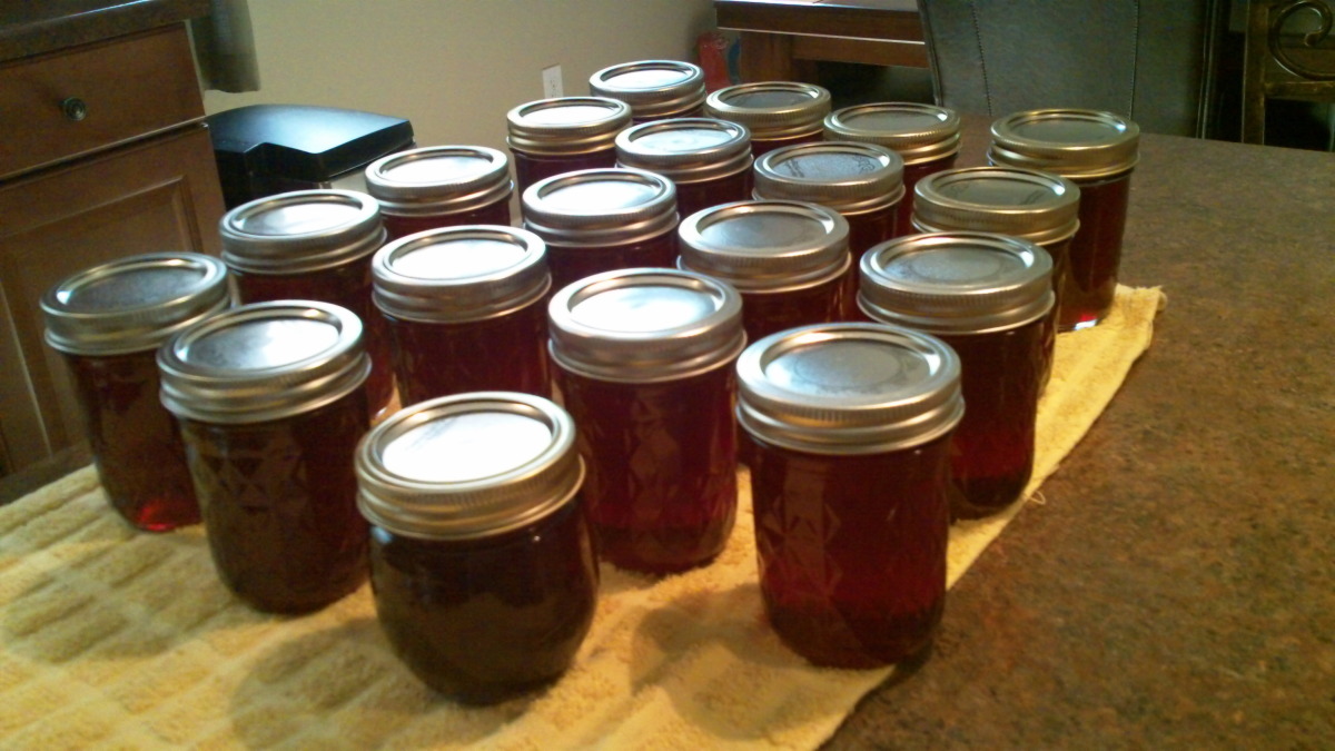 Tuna ( Prickly Pear Cactus Fruit ) Jelly