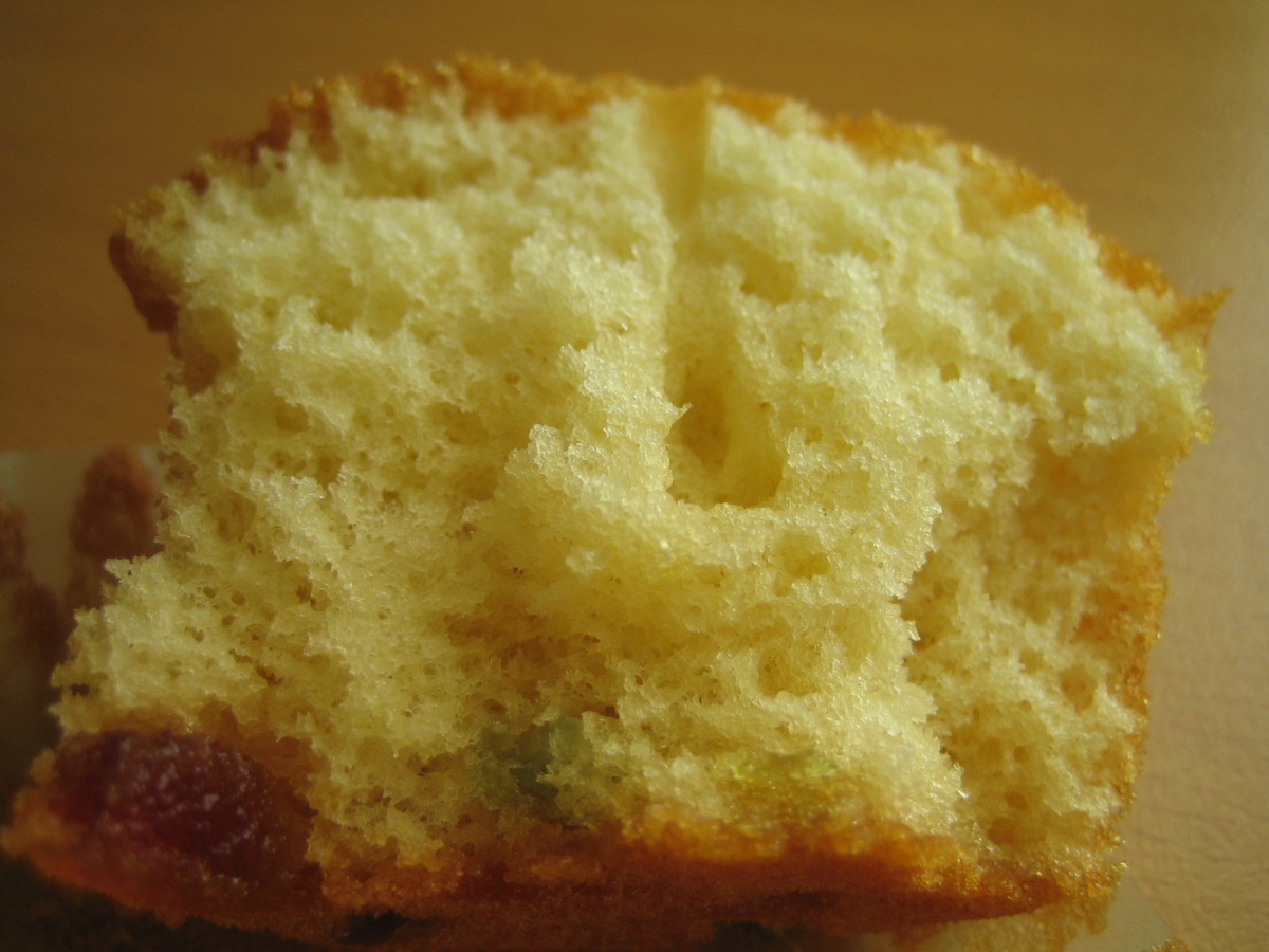 Spanish Magdelenas-Madeleines.
