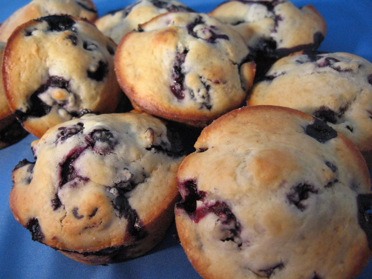 Blueberry Cranberry Muffins