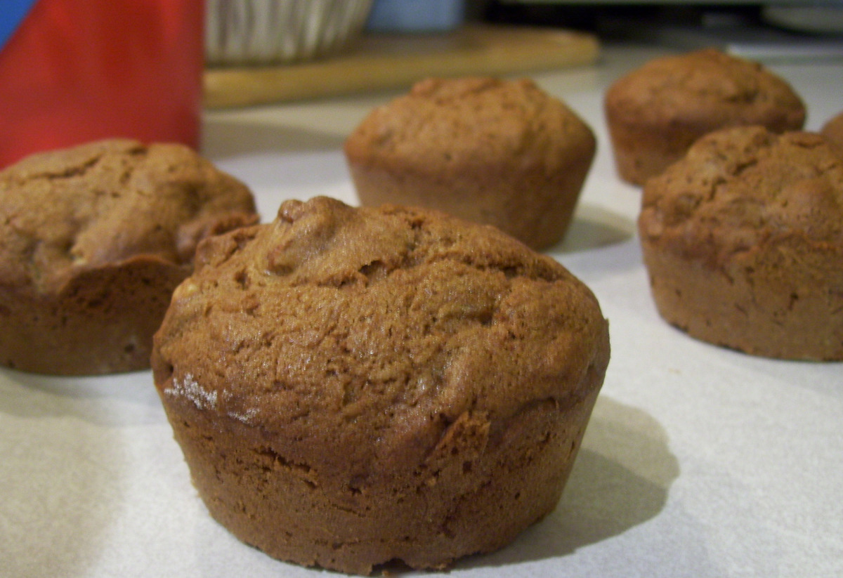 Shaker Squash Muffins