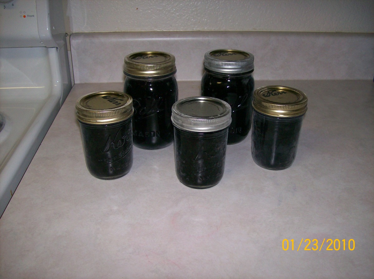 My Blueberry Jam