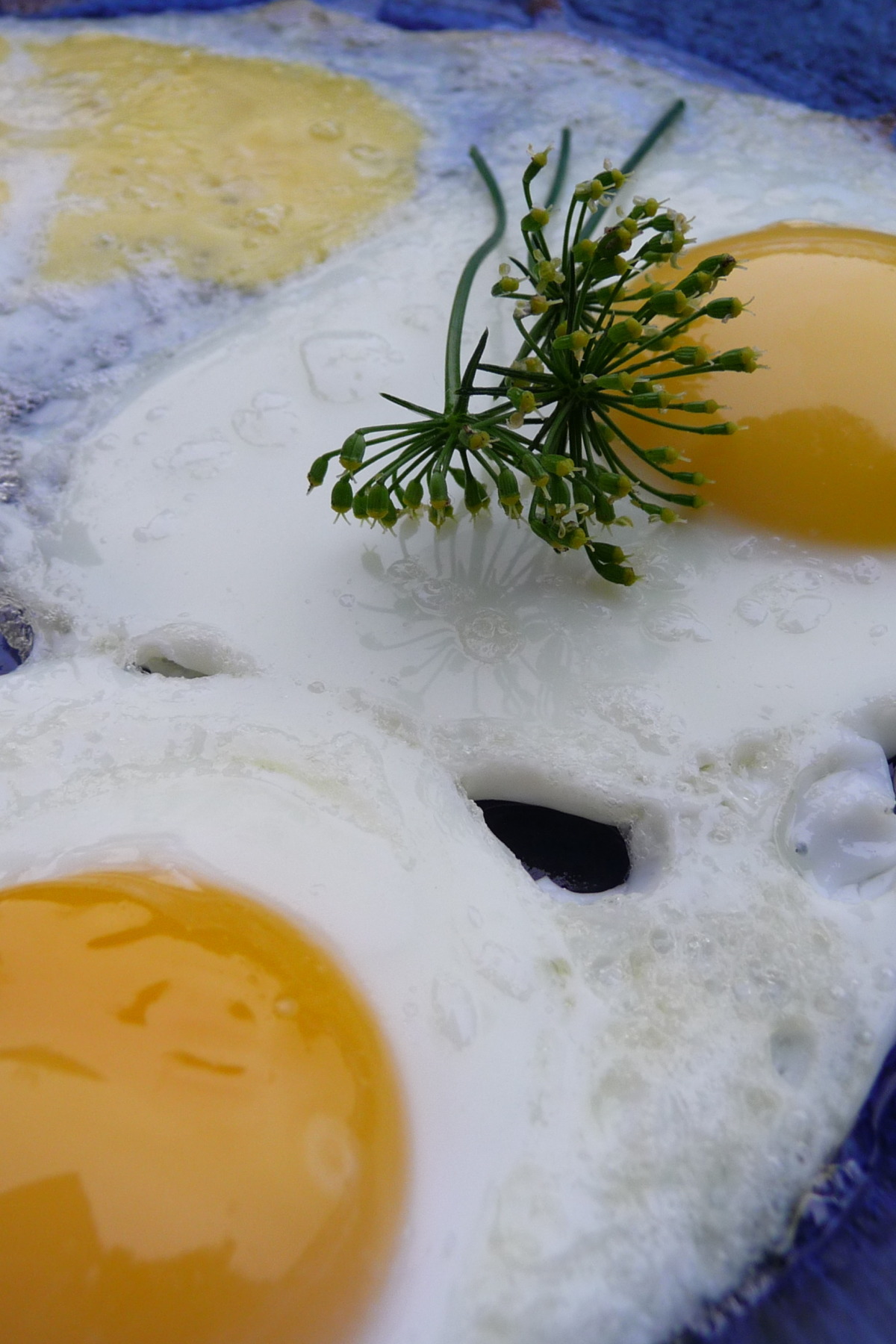 Shirred Eggs