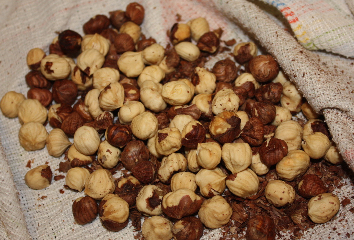 Toasted Hazelnuts