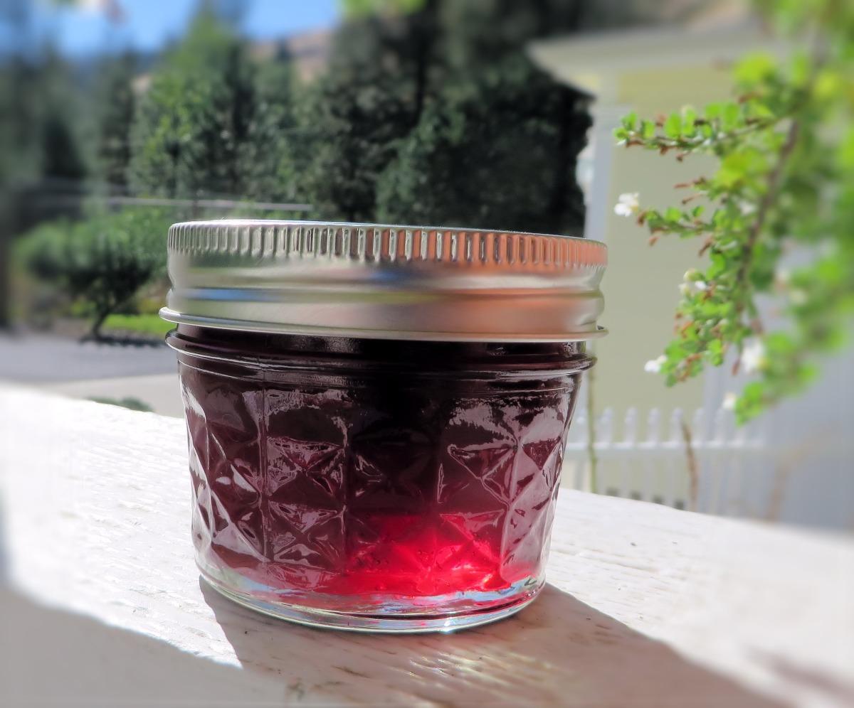 Elderberry Jelly