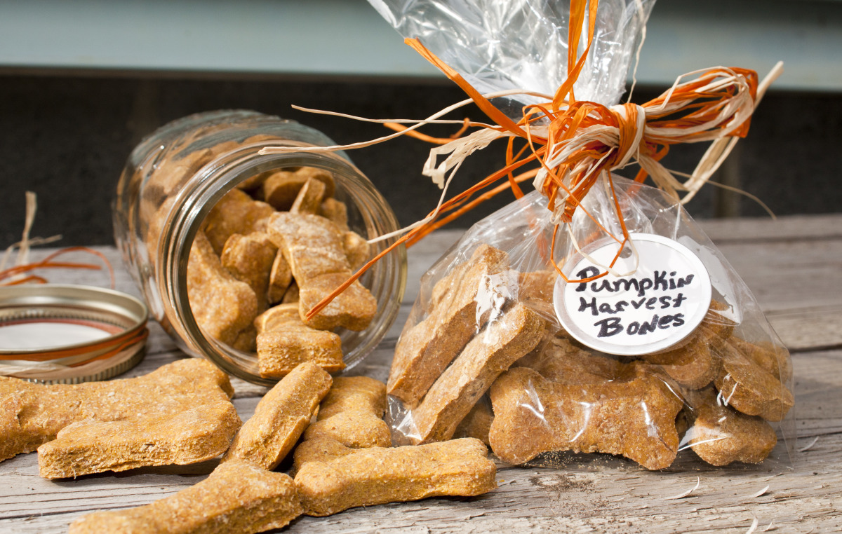 Pumpkin Dog Biscuits