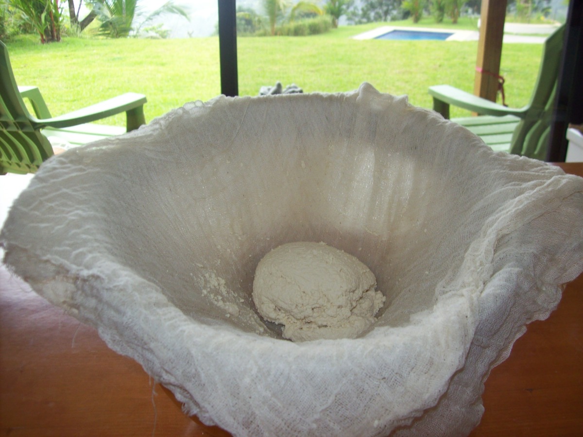 Fresh Homemade Ricotta Cheese