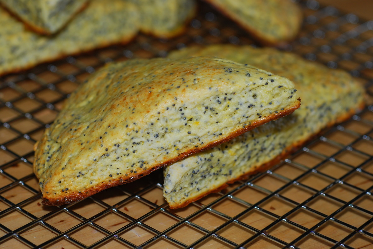 Poppy Seed Scones