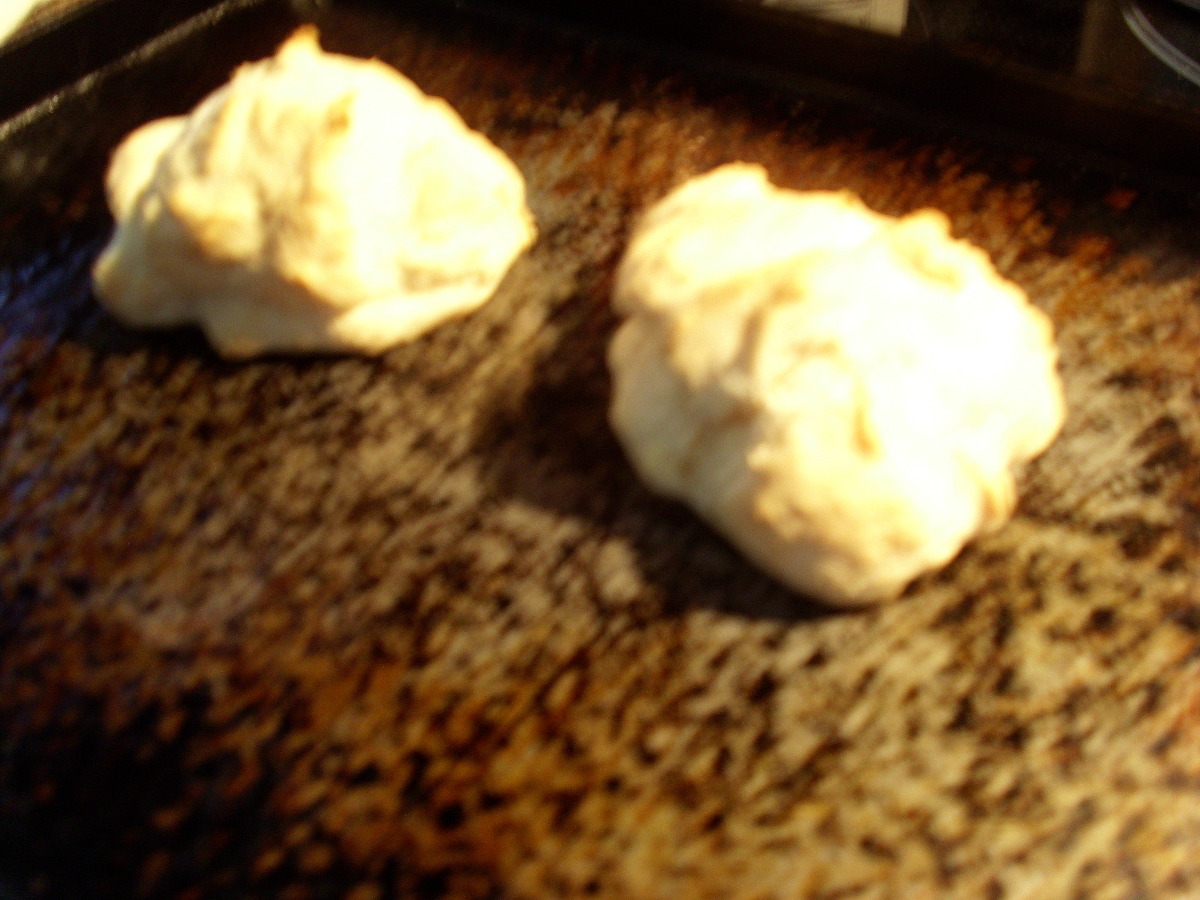 Fat Free, Low Cal Biscuits!