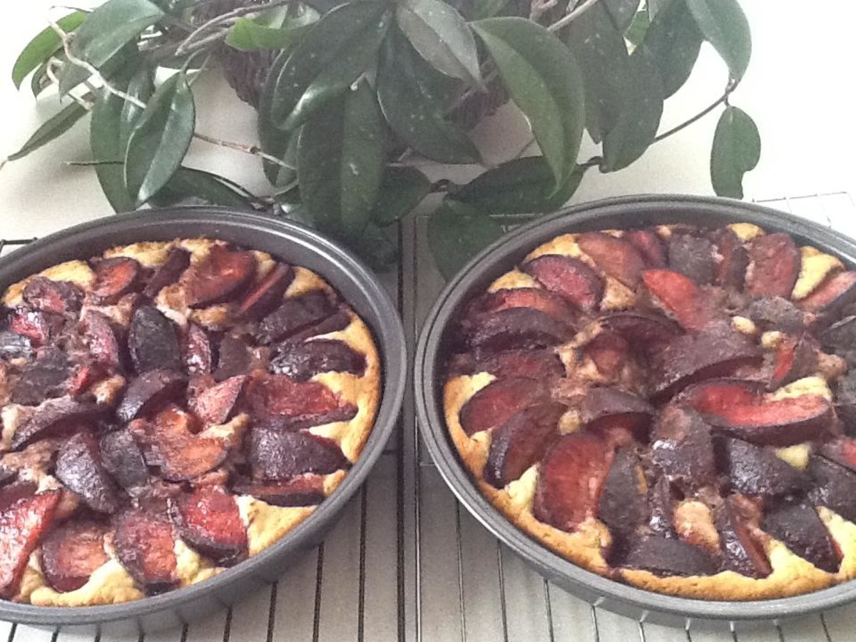 Viennese Plum Cake